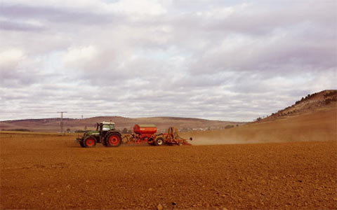 Imagen de la sembradora en un campo de colza